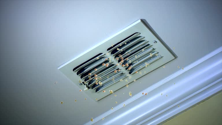 Best Affordable Duct Cleaning Services  in Ridgecrest, CA