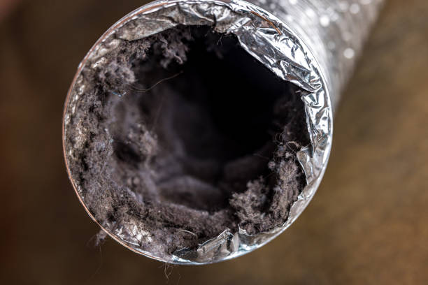 Best Affordable HVAC Duct Cleaning  in Ridgecrest, CA