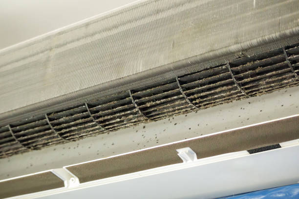Best Professional Duct Cleaning Services  in Ridgecrest, CA